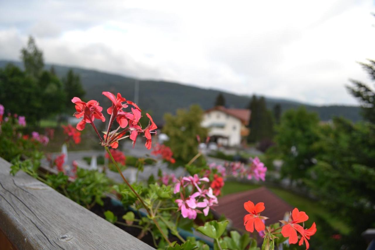 Gasthof Zum Gruenen Baum Verano Екстериор снимка