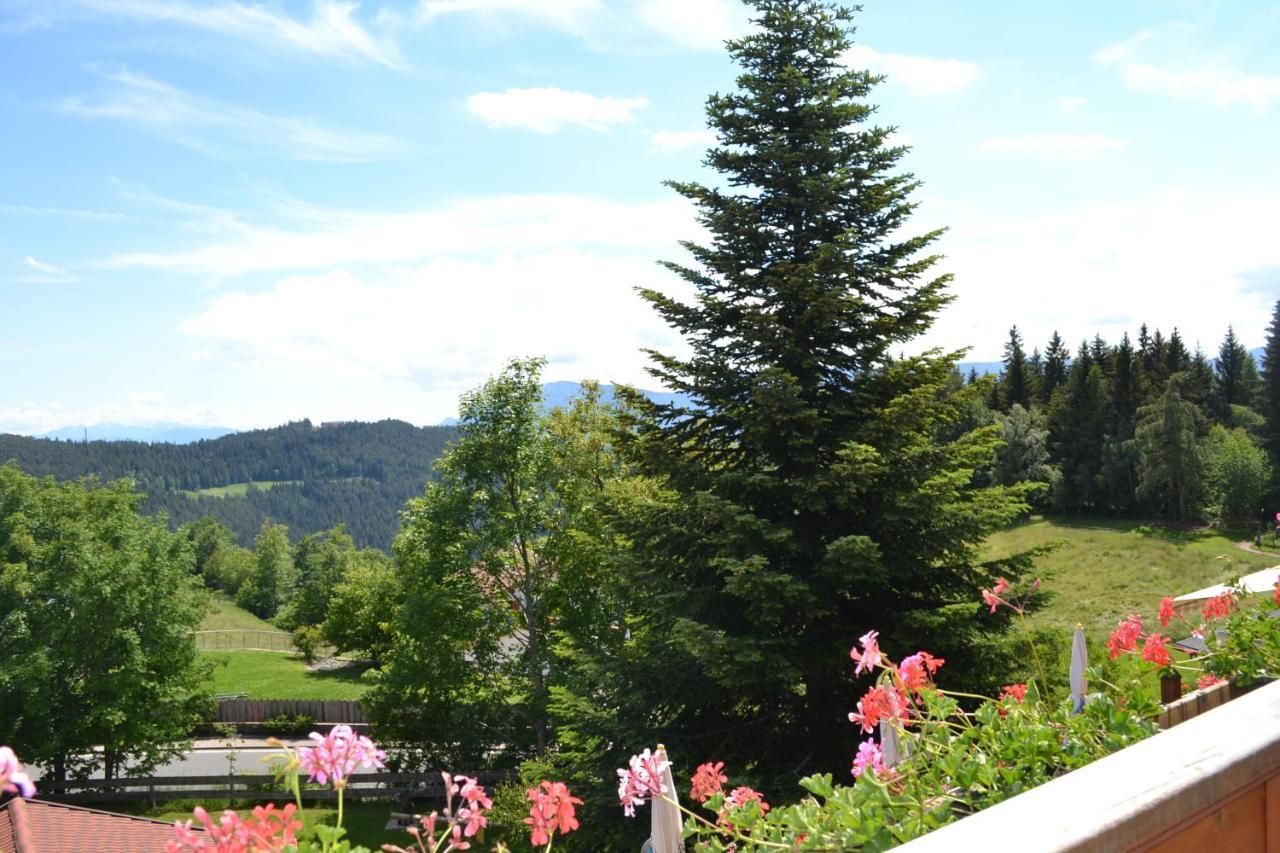 Gasthof Zum Gruenen Baum Verano Екстериор снимка